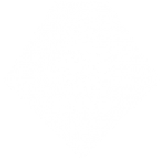 Logo van de KNVB